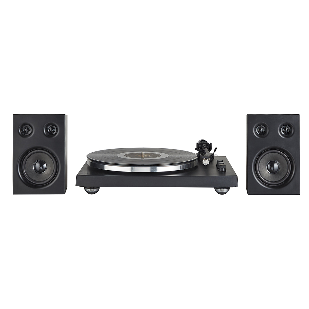 HP-H016 Professional Turntable with Detachable Speaker System