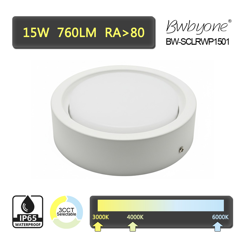 BW-SCLRWP1501 side view.jpg