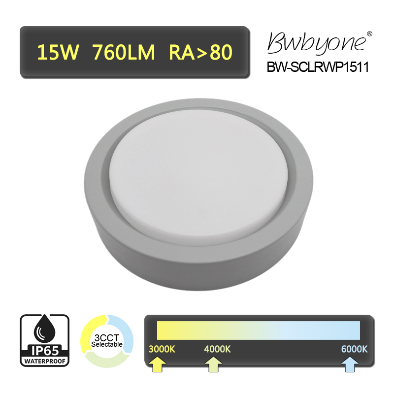 BW-SCLRWP1511 front view.jpg