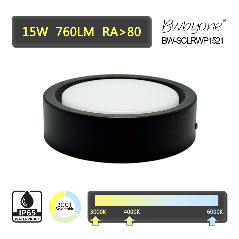 BW-SCLRWP1521 side view 1.jpg