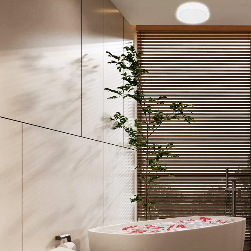 BW-SCLRWP240 Product visual.jpg