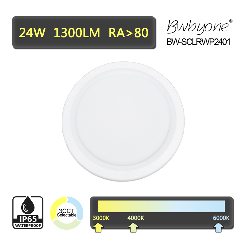 BW-SCLRWP2401 front view.jpg