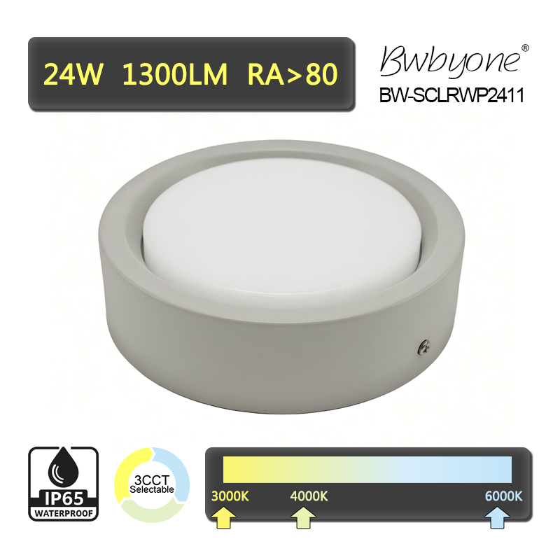 BW-SCLRWP2411 side view.jpg