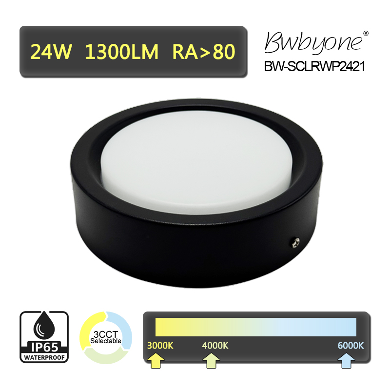 BW-SCLRWP2421 side view2.jpg