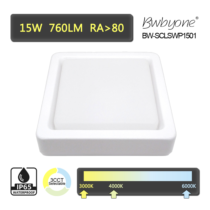 BW-SCLSWP1501 front view.jpg