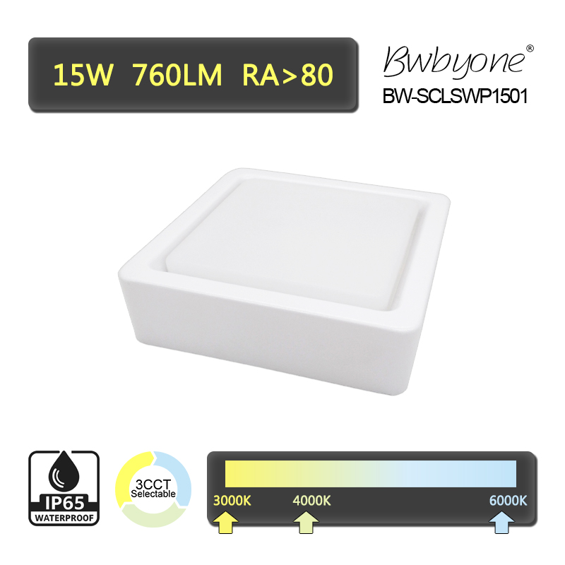 BW-SCLSWP1501 side view.jpg
