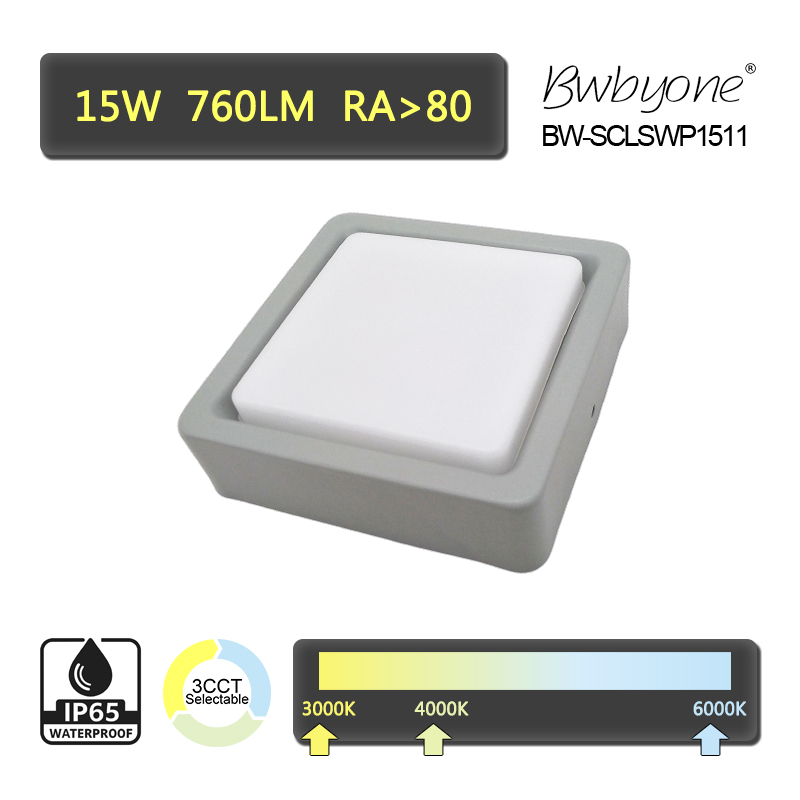 BW-SCLSWP1511 side view.jpg