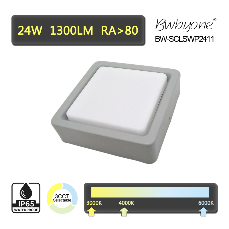 BW-SCLSWP2411 side view.jpg