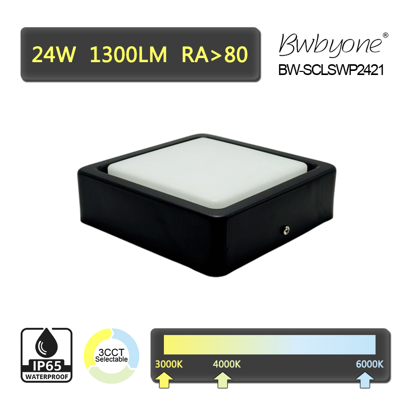 BW-SCLSWP2421 side view.jpg