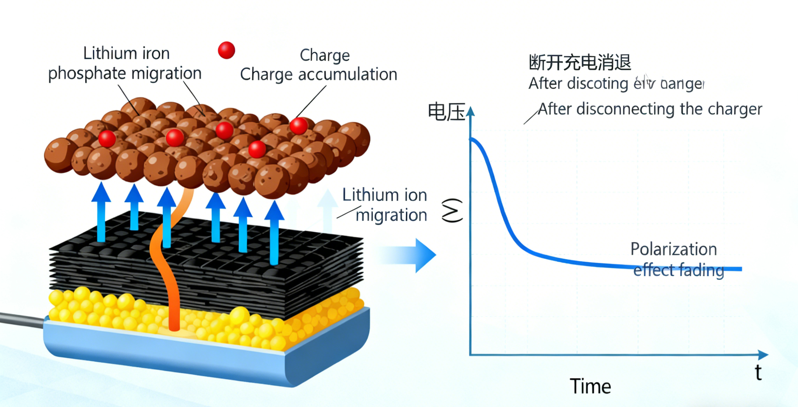 Why Does the Voltage of a LiFePO4 Battery Drop After Disconnecting the Charger?
