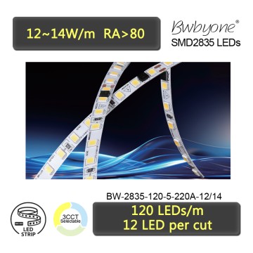 High Voltage 220V LED Strip 2835 LEDs 5mm PCB High Output Design