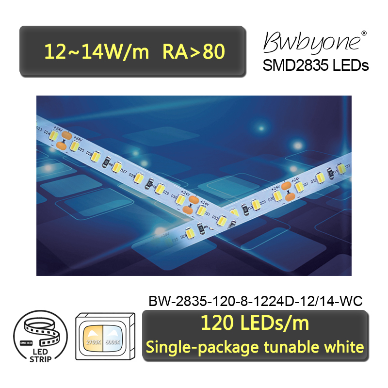 Dual White LED Strip Tunable White 2835 with 8mm PCB 120 LEDs/m