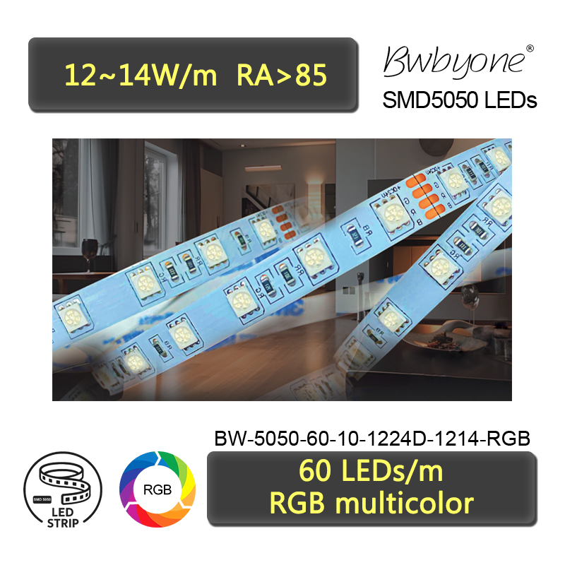 BW-5050-60-10-1224D-1214-RGB.jpg