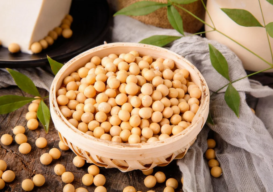 Why Does Soy Protein Reign as the "King of Plant Nutrition"? Four Core Questions to Uncover the Truth