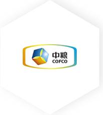 brand8