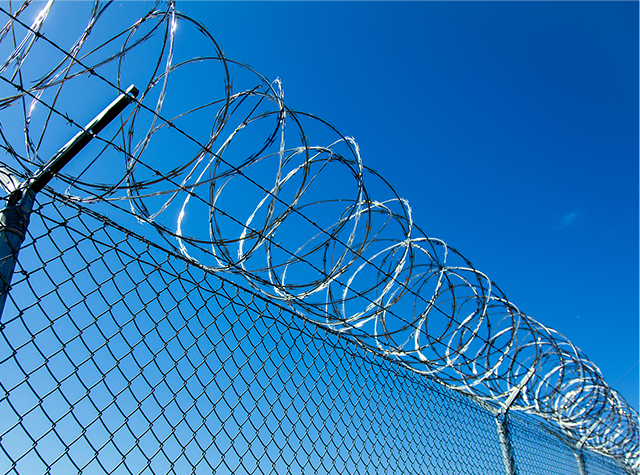 Забор Из Колючей Проволоки