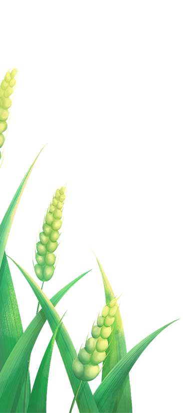 jxfy-news-icon