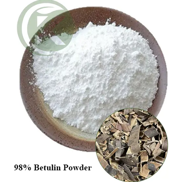 98% Betulin Powder