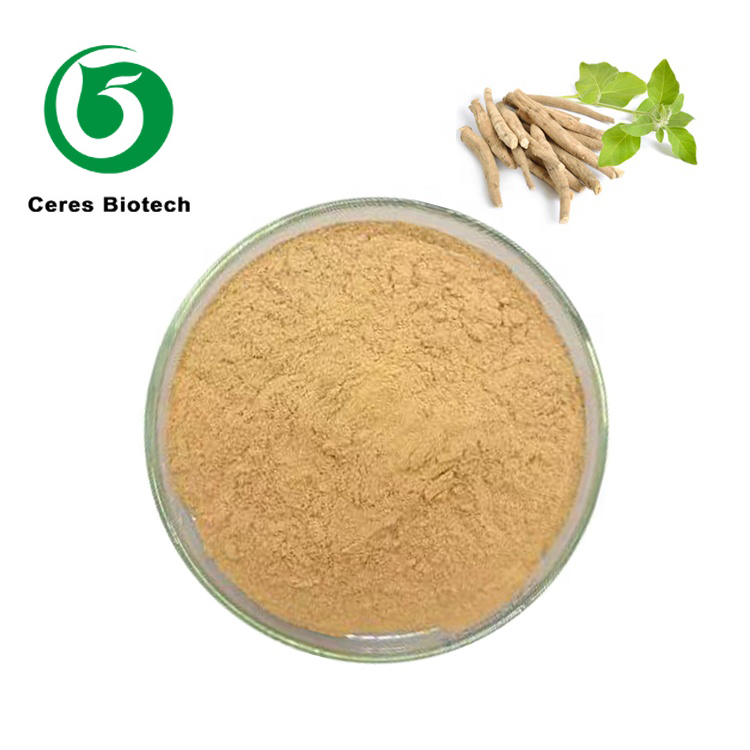 Extrait de ginseng Panax-1_800x800.jpg