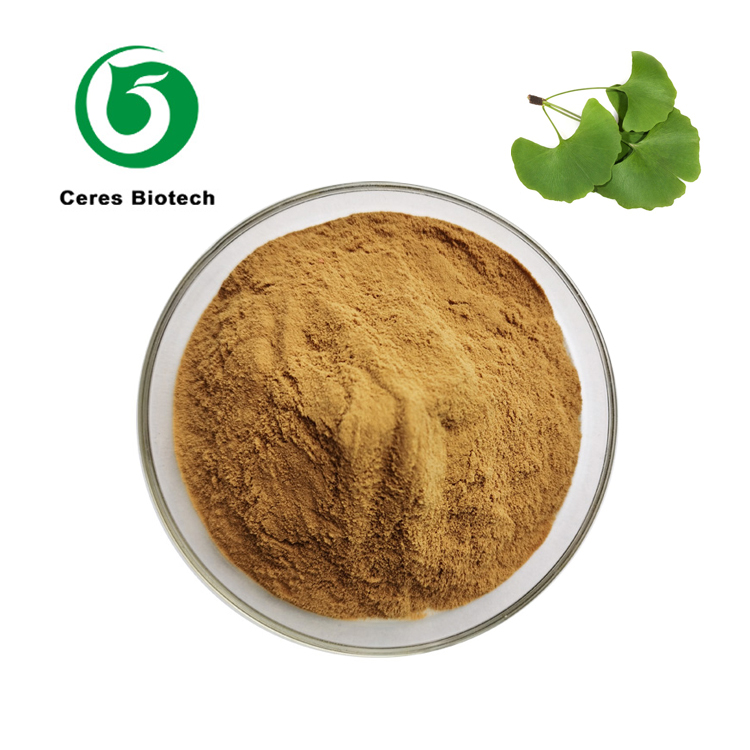 Ginkgo Biloba Leaf Extract01.jpg