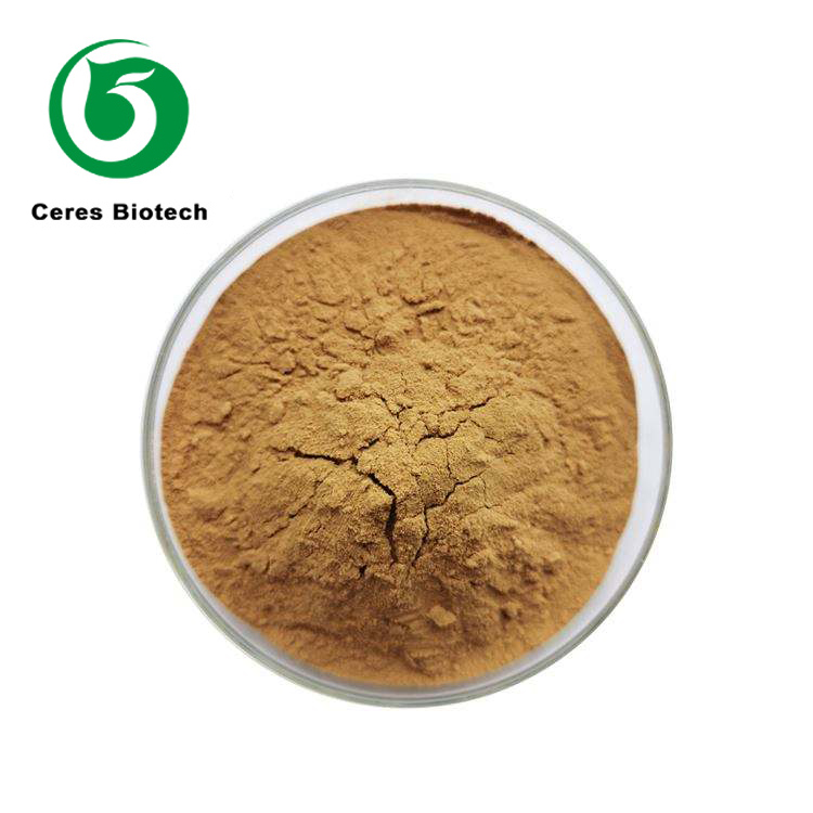 Extrait de ginseng Panax-1_800x800.jpg