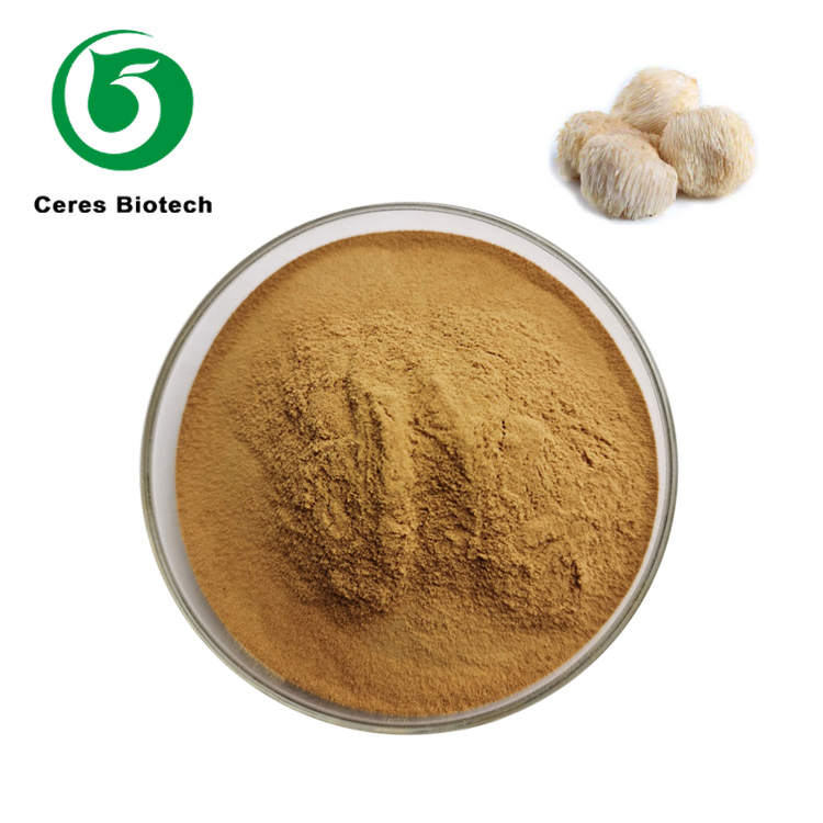 Champignon à crinière de lion2.jpg