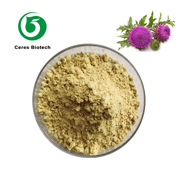 Milk Thistle .jpg