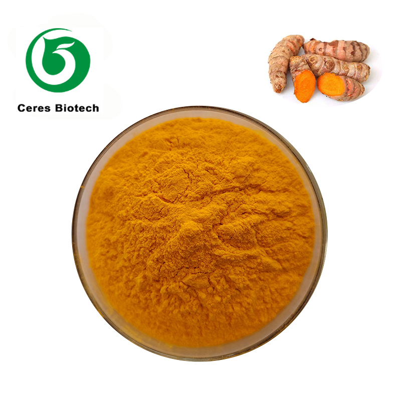 Extrait de ginseng Panax-1_800x800.jpg