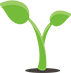 seedlings