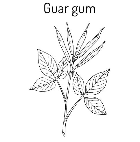 2026 How to Wholesale Buy Guar Gum Powder for Your Business Needs?
