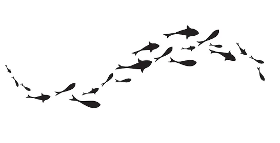 Top 10 Reasons to Buy Wholesale Fish Collagen Powder for Your Business?