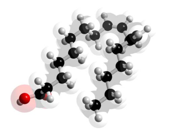 Top 10 Benefits of Conjugated Linoleic Acid Powder for Buyers