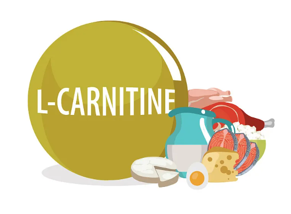 Top Benefits of L-Carnitine Powder for Global Buyers?