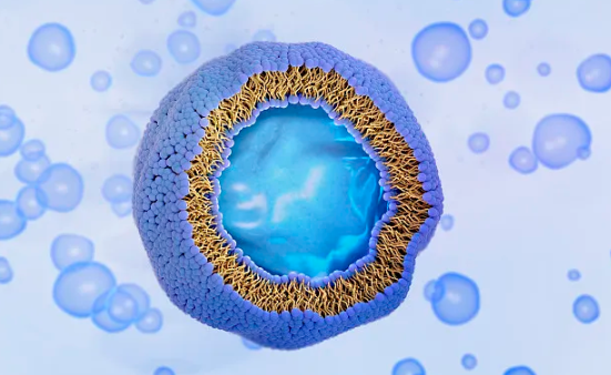 How to Choose the Best Liposomal Vitamin C for Your Needs?