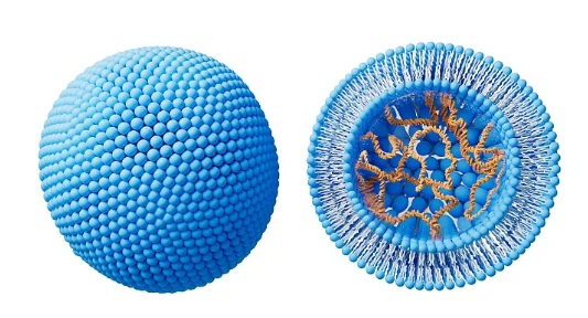 Best Liposomal Vitamin C for Immune Support and Energy Boost?