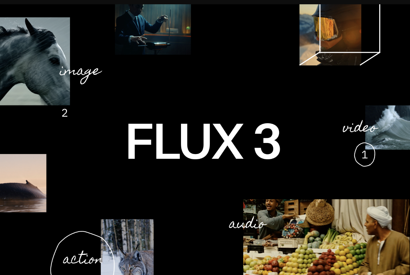 FLUX 3 overview