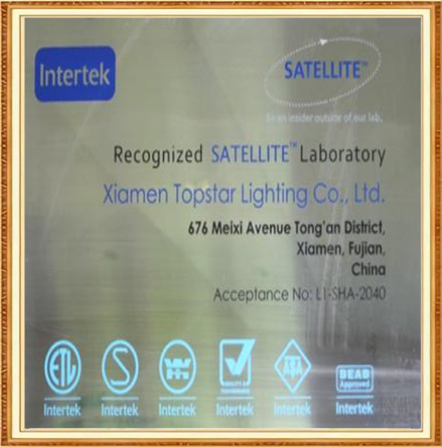 certificate (4)4xl
