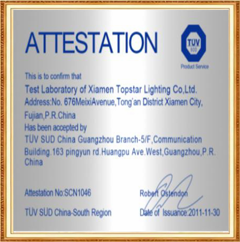 certificate (6)92p