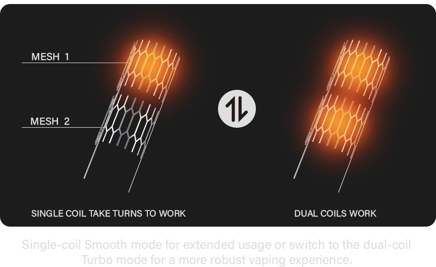 Dual Coils and Modes219b