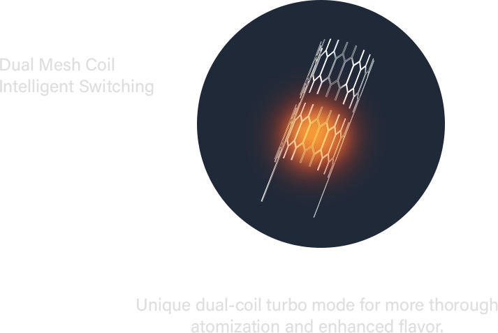 Dual Mesh Coil สวิตช์อัจฉริยะ