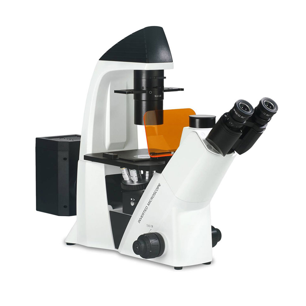 SHBDS SERIES INVERTED BIOLOGICAL MICROSCOPE-SHBDS-400