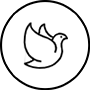 65250093bw