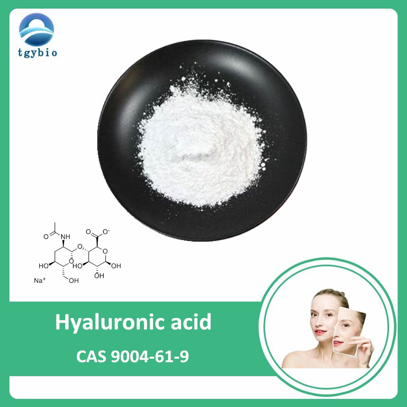 Cosmetic Raw Material hyaluronic acid Powder