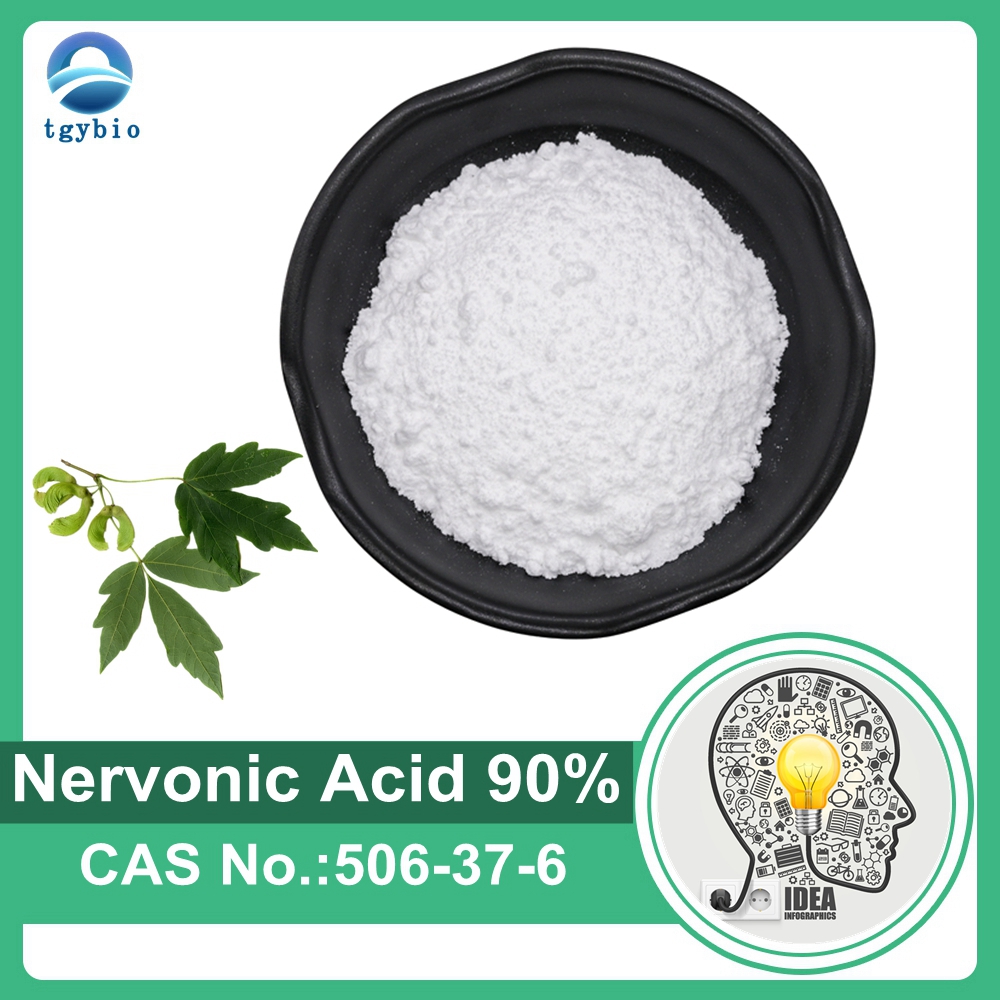  Acer Truncatum Extract 90% Nervonic Acid