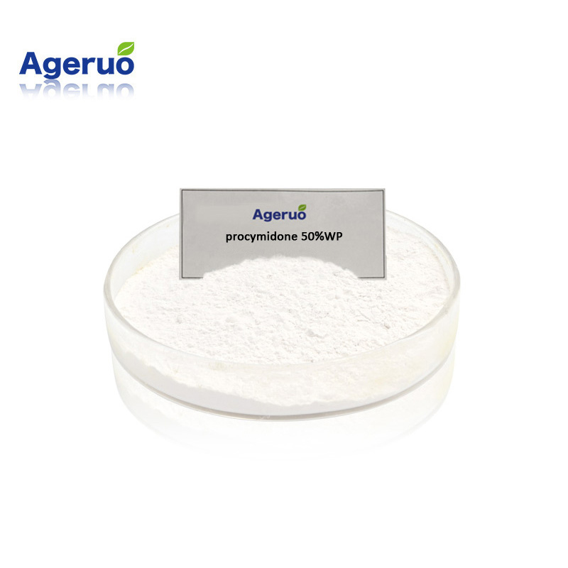 Hot Sale Fungicide with factory price Procymidone50%WP80%WDG