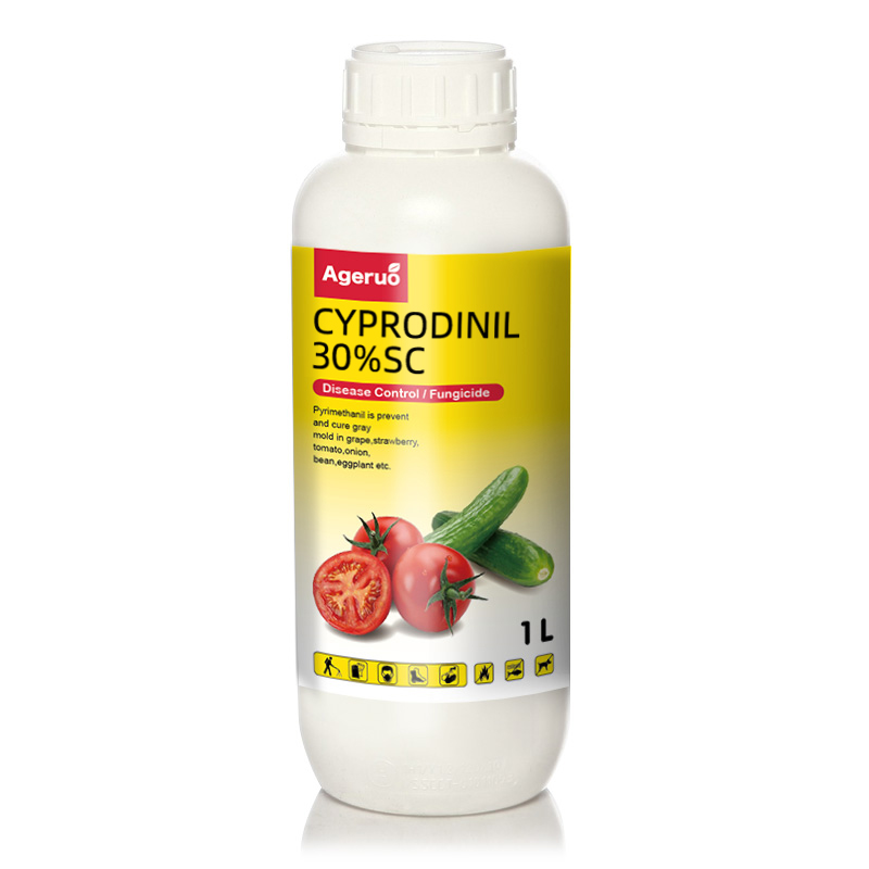 High Quality Purity Factory Price Agricultural Pesticide Fungicide Cyprodinil 30 % SC