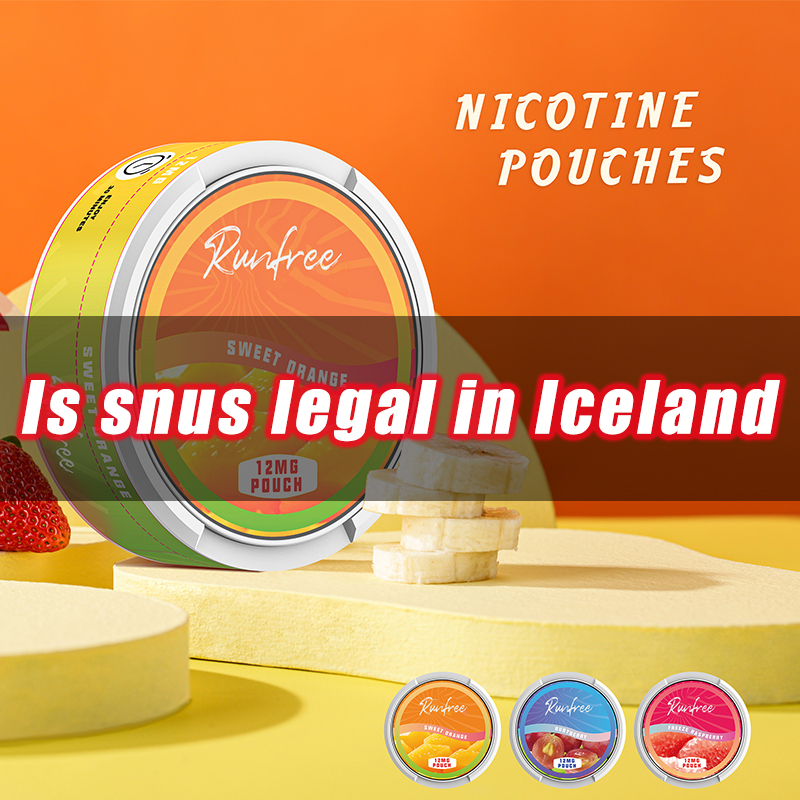 2024 Iceland Snus Policy: A Comprehensive Overview