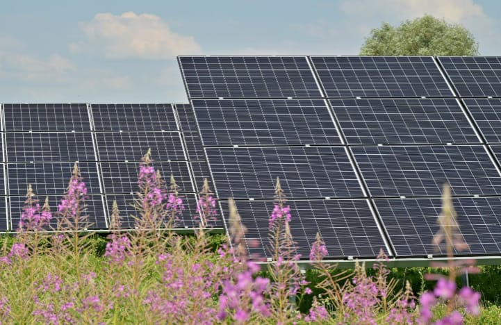 US manufacturers accuse Southeast Asian solar panel dumping, retroactive tariffs may lead to price hike (2).jpg