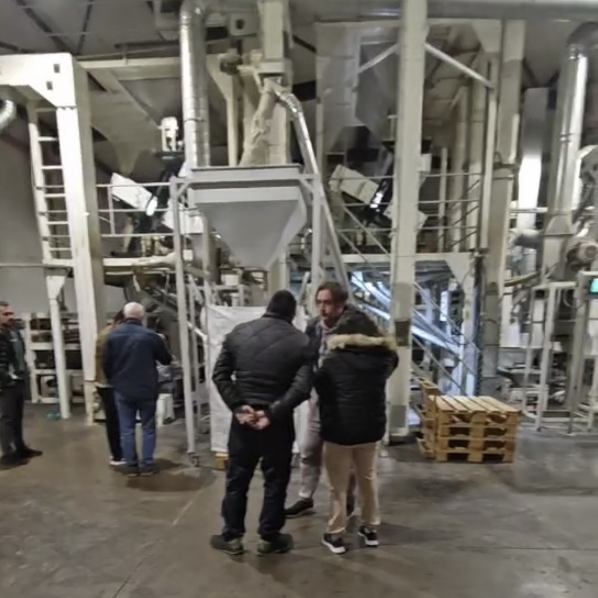 The Seeds Dehulling in Bulgaria Market (2)ufq