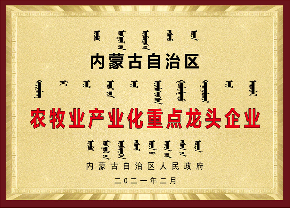 HONOR QUALIFICATION (4)dci